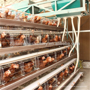 Design Layer Chicken Cage For Sale/chicken cage for egg laying chicken